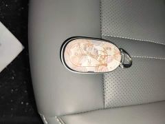 Geely Star Wish 310km Dream Edition - ფოტო 8
