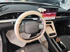 Geely Star Wish 310km Dream Edition - ფოტო 9