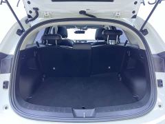 Haval Chitu Jingxiang Edition 1.5T Purple Copper Rabbit - photo 14