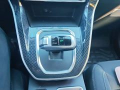 Haval M6 PLUS 1.5T DCT Elite Smart Connected Edition - ფოტო 13