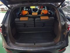 BYD Tang New Energy DM-i 112KM Premium Edition - photo 18