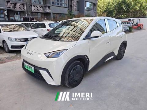 2023 BYD Seagull Vitality Edition - car from China