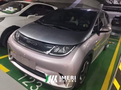 2022 BYD Dolphin 405km Fashion Edition - car from China