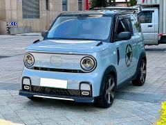 Geely Panda 210km Panda Kart - ფოტო 1