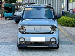 Geely Panda 210km Panda Kart - ფოტო 2