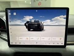 Zeekr 001 YOU Edition 100kWh - фото 12