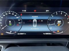 Ford Watson Wilford Black Warrior 2.0T Gasoline Peak Edition - фото 12