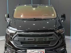 Ford Watson Wilford Black Warrior 2.0T Gasoline Peak Edition - фото 2