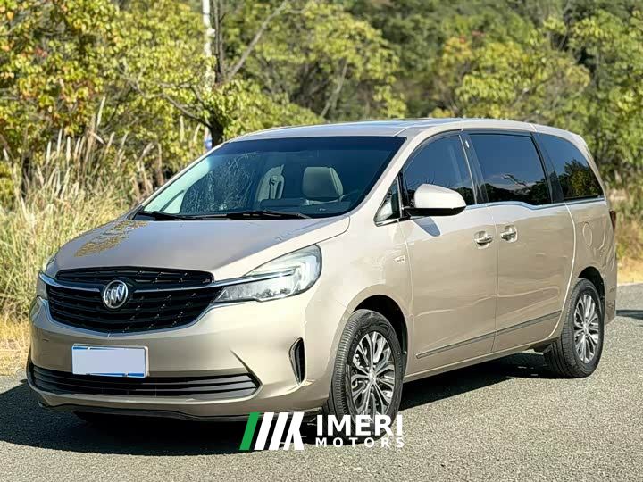 Buick GL8 Land Executive Cabin 652T Luxury - автомобиль из Китая