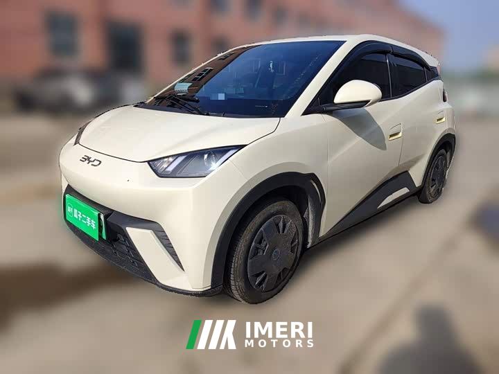 BYD Seagull 305km Vitality Edition - ავტომობილი ჩინეთიდან