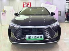 BYD Yuan Plus DM-i Glory Edition 112KM Flagship - photo 2