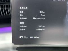 XPeng X9 640 AWD High Performance Max - фото 9
