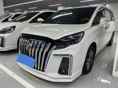 Buick GL8 ES Luxe 653T Prestige - фото 1