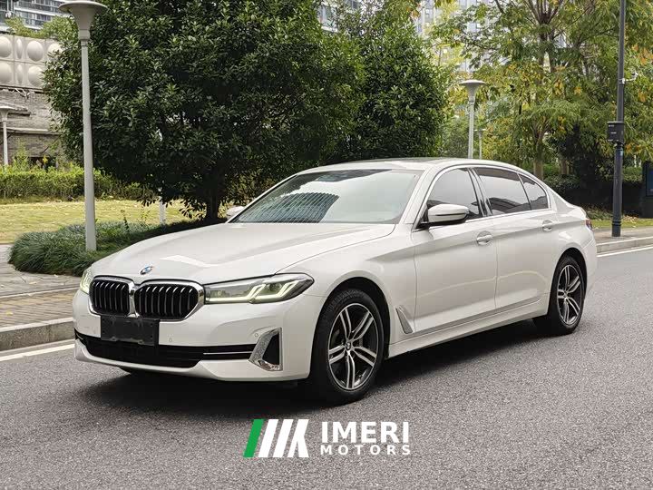 BMW 5 Series 530Li Premier Luxury Package - автомобиль из Китая