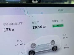 NIO ES9 102kWh Executive Island Signature Edition - photo 15