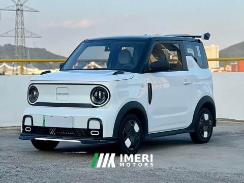 2024 Geely Panda 210km Panda Kart - car from China