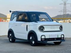 Geely Panda 210km Panda Kart - photo 3