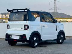Geely Panda 210km Panda Kart - photo 7