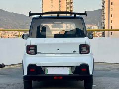 Geely Panda 210km Panda Kart - photo 8