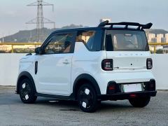 Geely Panda 210km Panda Kart - photo 9