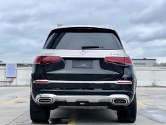 Mercedes-Benz Maybach GLS 600 4MATIC Prestige Edition - photo 15