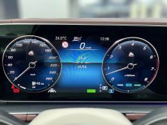 Mercedes-Benz Maybach GLS 600 4MATIC Prestige Edition - photo 19