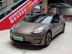 Tesla Model 3 Standard Range RWD Upgrade 3D6 - фото 1