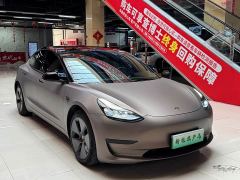 Tesla Model 3 Standard Range RWD Upgrade 3D6 - фото 3