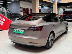 Tesla Model 3 Standard Range RWD Upgrade 3D6 - фото 4