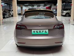 Tesla Model 3 Standard Range RWD Upgrade 3D6 - фото 5