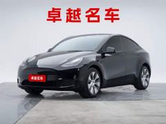 Tesla Model Y Long Range All-Wheel Drive 3D7 - фото 1