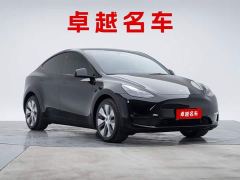 Tesla Model Y Long Range All-Wheel Drive 3D7 - фото 4