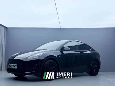 2021 Tesla Model Y Standard Range RWD - ავტომობილი ჩინეთიდან