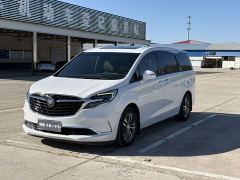 Buick GL8 ES Land Respect 653T Respect Enjoyment Edition - photo 1