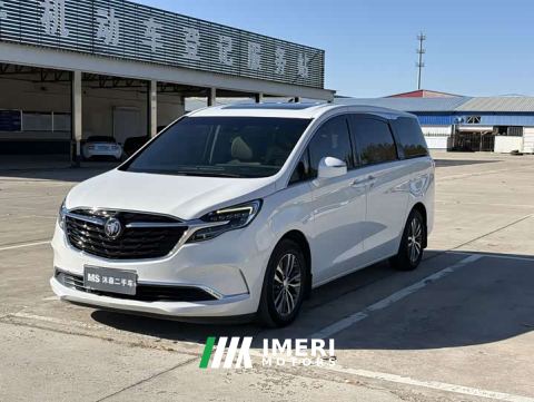 2021 Buick GL8 ES Land Respect 653T Respect Enjoyment Edition - автомобиль из Китая