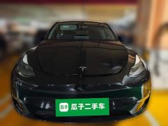 Tesla Model Y Long Range All-Wheel Drive 3D7 - фото 2
