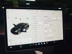 Tesla Model Y Long Range All-Wheel Drive 3D7 - фото 20