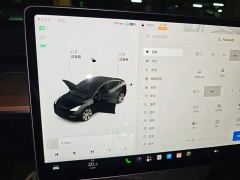 Tesla Model Y Long Range All-Wheel Drive 3D7 - фото 7