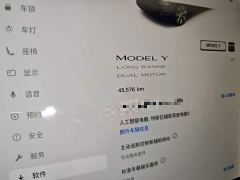 Tesla Model Y Long Range All-Wheel Drive 3D7 - фото 8