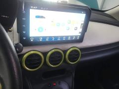 ORA Black Cat 301km Cute Pet Edition LFP Battery - ფოტო 12