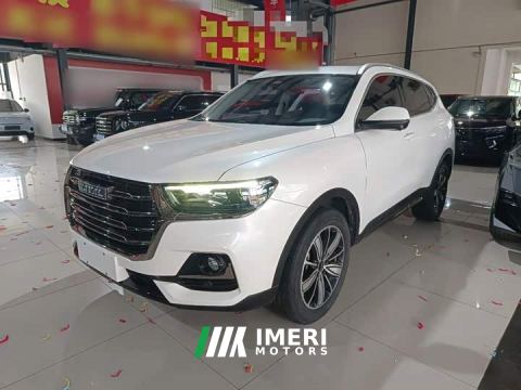 2021 Haval H6 National Trend Edition 1.5L GDIT Automatic Luxury - car from China