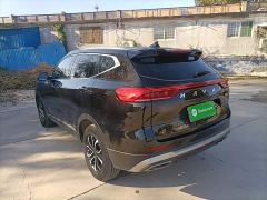 Haval H6 National Trend Edition 1.5T Automatic Urban Version - ფოტო 4