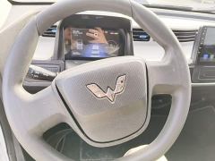 Wuling Hongguang MINIEV Deluxe Edition LFP Battery - photo 10