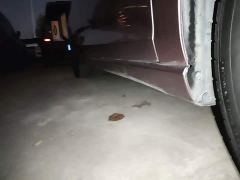 Changan Eado PLUS Blue Whale NE 1.4T GDI DCT Fashion Edition - фото 20