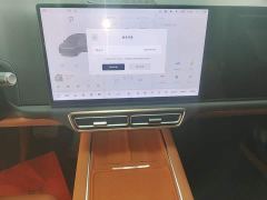 Li Auto L6 Pro - ფოტო 12