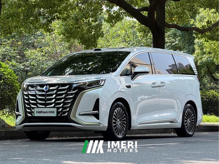 Denza D9 DM-i Intelligent Driving Edition 1020 AWD Premium