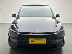 Tesla Model Y Rear-Wheel Drive - ფოტო 2