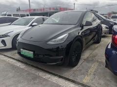 Tesla Model Y Long Range All-Wheel Drive - фото 1