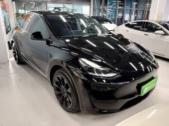 Tesla Model Y Rear-Wheel Drive - ფოტო 3
