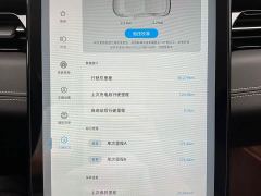 XPeng G3 G3i 460N - фото 19